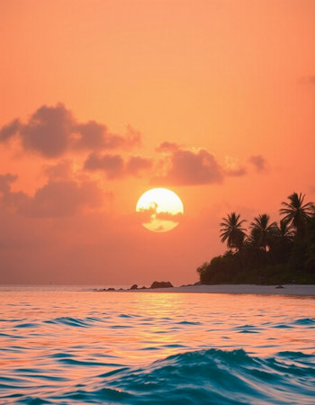Beautiful sunset on the tropical island.の写真素材