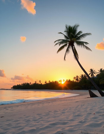 Tropical beach with coconut palm tree at sunset, Maldivesの写真素材