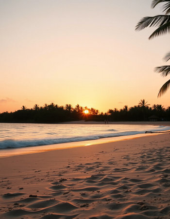 Beautiful tropical beach and sea with coconut palm tree at sunset time - Holiday Vacation concept