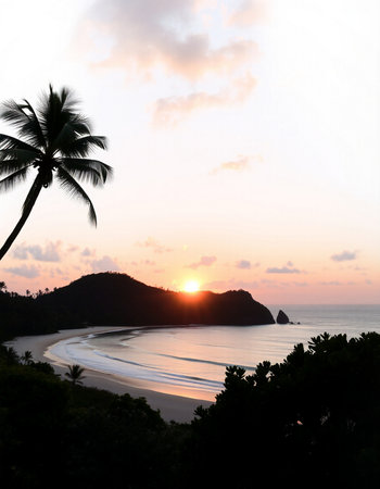 Sunset on the beachの写真素材