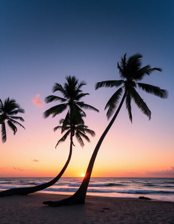 Silhouette coconut tree on the beach at sunset timeの写真素材