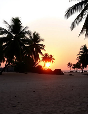 Beautiful sunset on the beach with coconut palm trees. Sri Lankaの写真素材