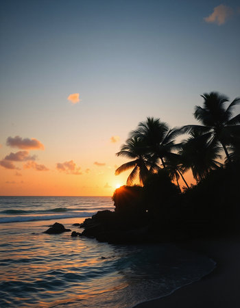 Tropical beach at sunset with palm trees silhouetted against the sky