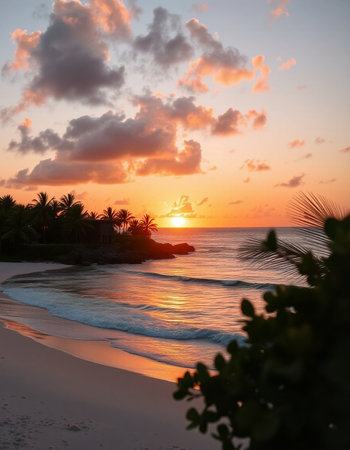 Tropical beach with palm trees at beautiful sunset in Maldivesの写真素材