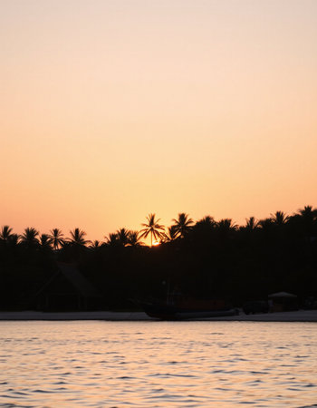 Silhouette of palm trees and boat in the sea at sunset
