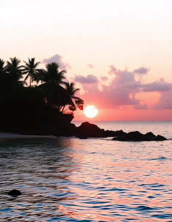 Tropical beach at beautiful sunset, Seychelles.の写真素材