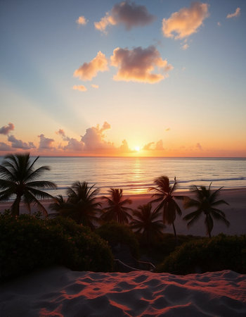 Beautiful sunset over the sea with palm trees and sand dunes