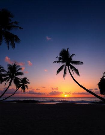 Silhouette of coconut trees on the beach at sunset time.の写真素材