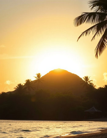 Tropical beach with palm trees at sunset, Seychellesの写真素材