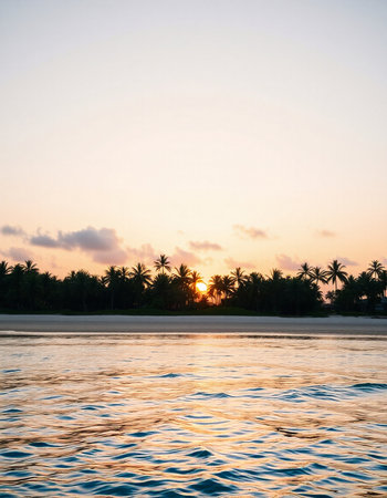 Beautiful tropical beach and sea with coconut palm tree at sunset time - Holiday Vacation conceptの写真素材