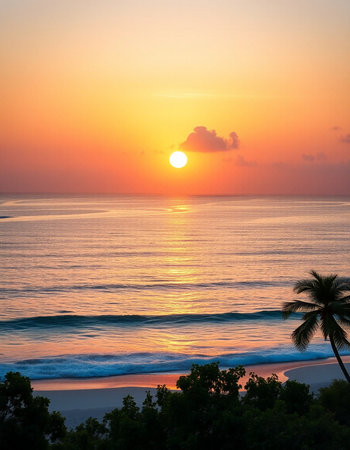 Beautiful sunset over the sea with palm trees on the foreground.