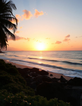 Sunset on the beach with palm trees and rocks in the foreground