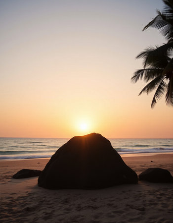 Sunset on the beach with a big stone and palm trees.の写真素材