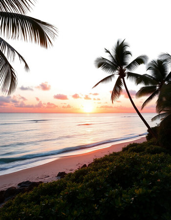 Sunset on the beach with palm trees and sea in the background