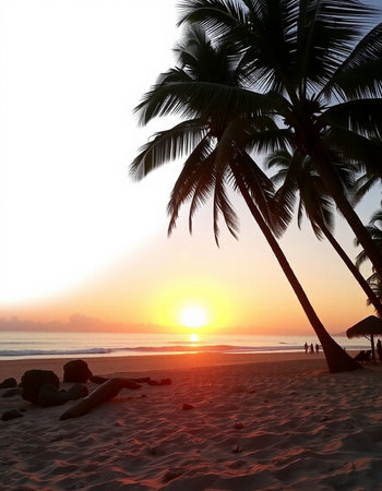 Beautiful sunset on the beach with coconut palm trees silhouettes.