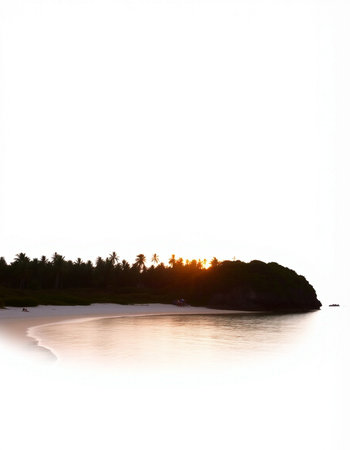 Silhouette of the trees on the beach in the morning.の写真素材
