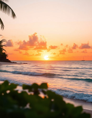 Tropical beach at sunset with palm trees and turquoise waterの写真素材