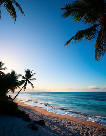 Tropical beach with coconut palm trees at sunset, Seychellesの写真素材