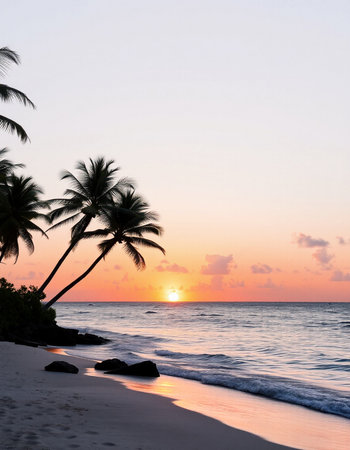 Beautiful sunrise on the beach with coconut palm trees in the foregroundの写真素材