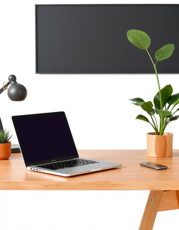 workplace with laptop, lamp and houseplants isolated on white