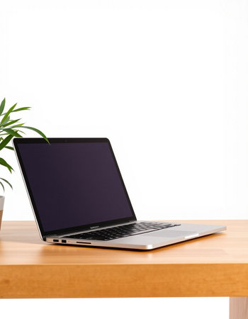Laptop on a wooden table with a plant in a pot.