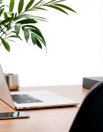 Office workplace with laptop, smartphone and green plant on white background.
