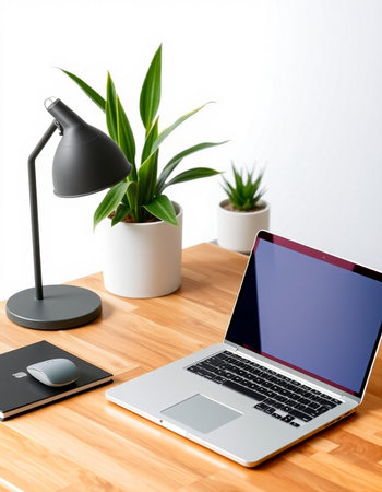 Laptop and plant on wooden table. Workplace in modern officeの写真素材