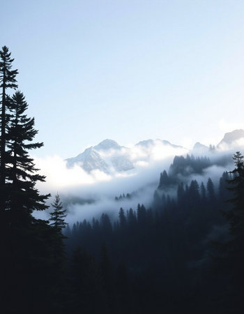 Mountain landscape with fog and coniferous forest in the foreground