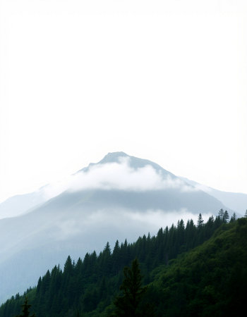 Mountain landscape with forest and fog in the morning, Sochi, Russia