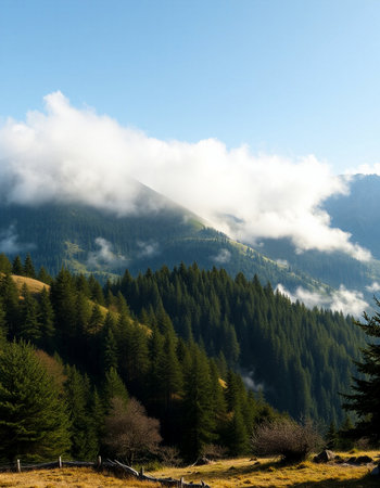 Mountain landscape with clouds and blue sky. Carpathian, Ukraine.の写真素材