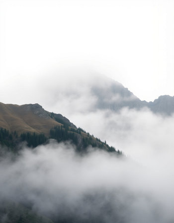 Mountain landscape in the clouds. Caucasus, Dombay.