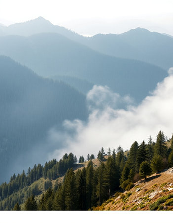 Mountain landscape with pine forest in the fog. Carpathians, Ukraineの写真素材