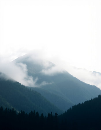 Silhouettes of trees on the top of the mountain with fog.の写真素材