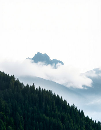 Foggy mountain landscape with coniferous forest on the slopeの写真素材