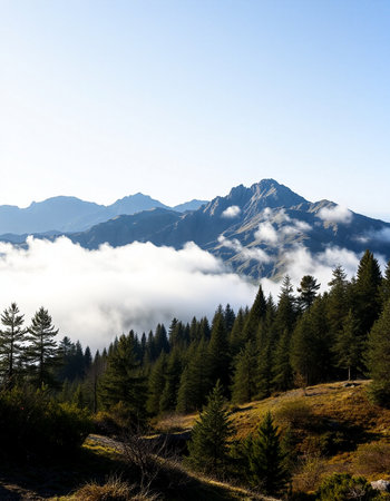 Beautiful mountain landscape with fog in the alps.の写真素材