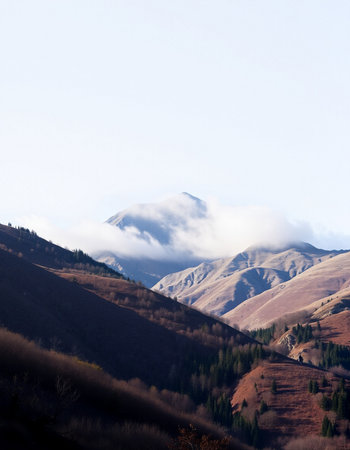 mountains in the clouds on a sunny day, note shallow depth of fieldの写真素材