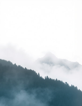 foggy mountain landscape with trees in the foreground on a cloudy dayの写真素材