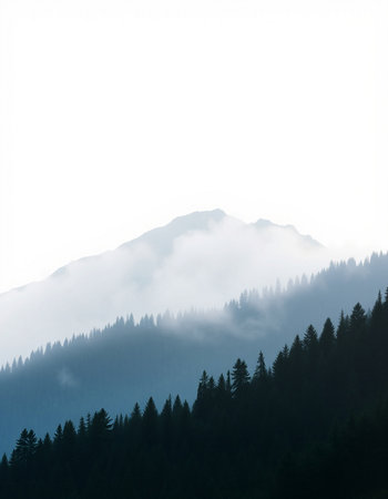 Foggy mountain landscape with coniferous forest on the slope