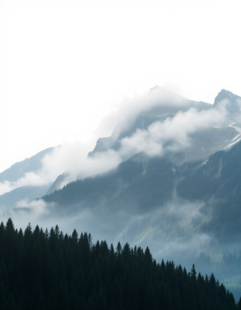 Mountain landscape with coniferous forest and fog in the morning