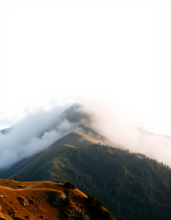 Mountain landscape with fog in the morning. Ukraine, Carpathians