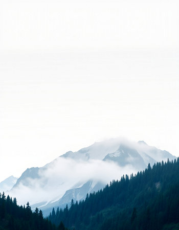 Mountain landscape with snow covered peaks and coniferous forest.
