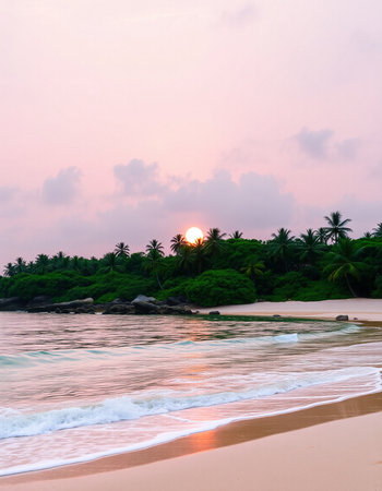 Beautiful sunset at the beach.の写真素材