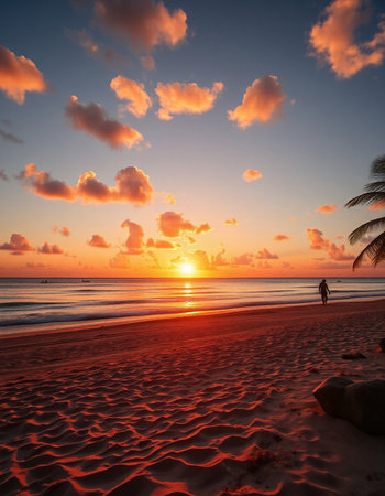 Beautiful sunset on the beach of the caribbean sea.の写真素材