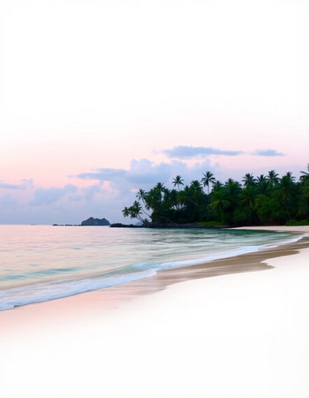 Tropical beach with palm trees and white sand at sunset timeの写真素材