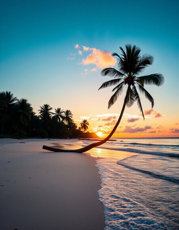Coconut palm tree on the beach at beautiful sunset time.の写真素材