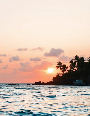 Beautiful sunset over the sea. Tropical beach with palm trees.の写真素材