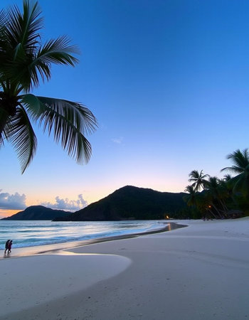 Tropical beach with palm trees at sunset, Seychellesの写真素材