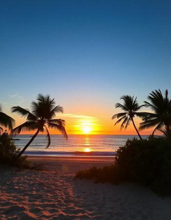 Beautiful tropical beach and sea with coconut palm tree at sunset time
