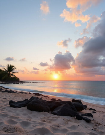 Beautiful sunset on the beach with big rocks and palm trees.