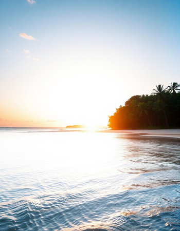Beautiful tropical beach and sea with coconut palm tree at sunset time - Holiday Vacation conceptの写真素材